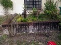 David's Tropical Pool & Spa image 8