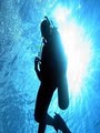 Deep South Divers image 2