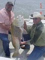 Deep sea -Bay Fishing Charters - Guides image 5