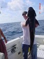 Deep sea -Bay Fishing Charters - Guides image 6