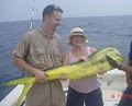 Deep sea -Bay Fishing Charters - Guides image 8