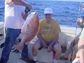 Deep sea -Bay Fishing Charters - Guides image 9