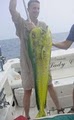 Deep sea -Bay Fishing Charters - Guides image 10