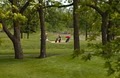 Deer Lake Golf Course image 2