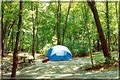 Delaware Water Gap KOA Campground image 3