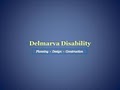 Delmarva Disability image 2