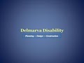 Delmarva Disability image 2