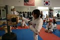 Delta Tae Kwon DO image 5