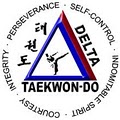 Delta Tae Kwon DO image 8
