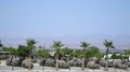 Desert View RV Resort image 2