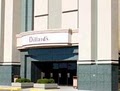 Dillard's: Rivergate Mall logo