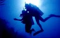 Divers at Sea image 5
