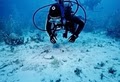Divers at Sea image 1