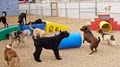 Dog-Ma Daycare and Boarding for Dogs image 2