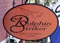 Dolphin Striker logo