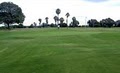 Dominguez Hills Golf Course image 2