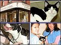 Downtown Veterinary Clinic image 4