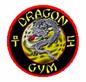 Dragon Gym Martial Arts and  Fitness logo