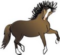 Dream Pony Tack & Consignment logo