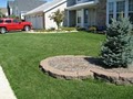 Dream Yard Landscaping & Tree logo