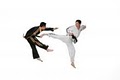 Dynamic Martial Arts Academy image 2