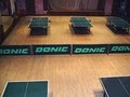 Dynamo Table Tennis Club logo