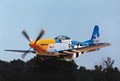 EAA AirVenture Museum image 1