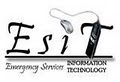 ESI Technology logo