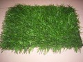 East Valley Turf Design image 6