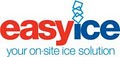 Easy Ice logo