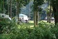 Eby's Pines RV Park and Campground image 7