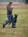 Elite K9 Training image 2
