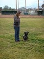 Elite K9 Training image 3