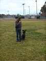 Elite K9 Training image 4