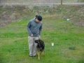 Elite K9 Training image 5
