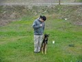 Elite K9 Training image 6