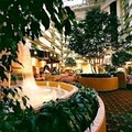 Embassy Suites Kansas City - International Airport image 3