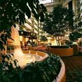 Embassy Suites Kansas City - International Airport image 7