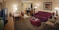 Embassy Suites Northwest Arkansas image 5