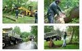 Evergreen Tree & Shrub, Inc. |Tree Removal |   Brooklyn image 7