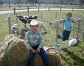 Every Kids Dream Petting Zoo image 2