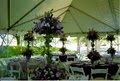 Festive Occasions Party Rentals image 5