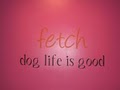Fetch Dog Resort image 2