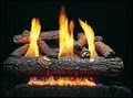 Fireplace & Chimney Authority Inc - Fireplaces Chicago logo