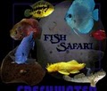 Fish Safari image 2