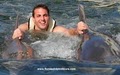 Florida Dolphin Tours image 2