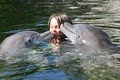 Florida Dolphin Tours image 1