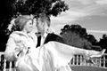 Florida Wedding Services image 8