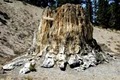 Florissant Fossil Beds National Monument image 1