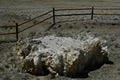 Florissant Fossil Beds National Monument image 4